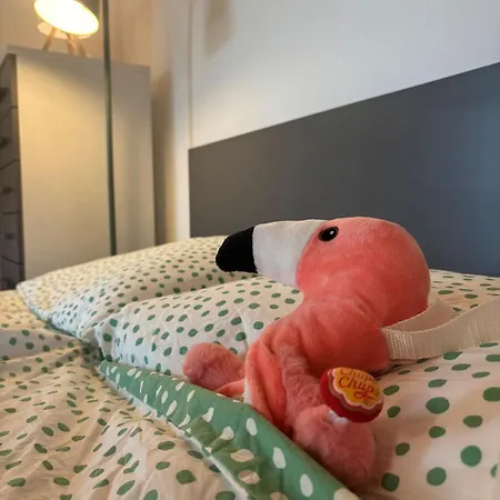 Апартаменты Flamingo *